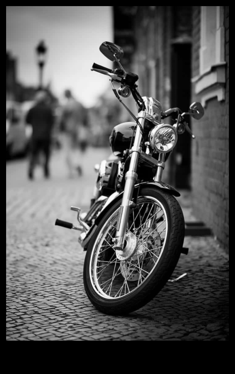 السرعة والصفاء: الطبيعة المزدوجة للدراجات النارية السياحية