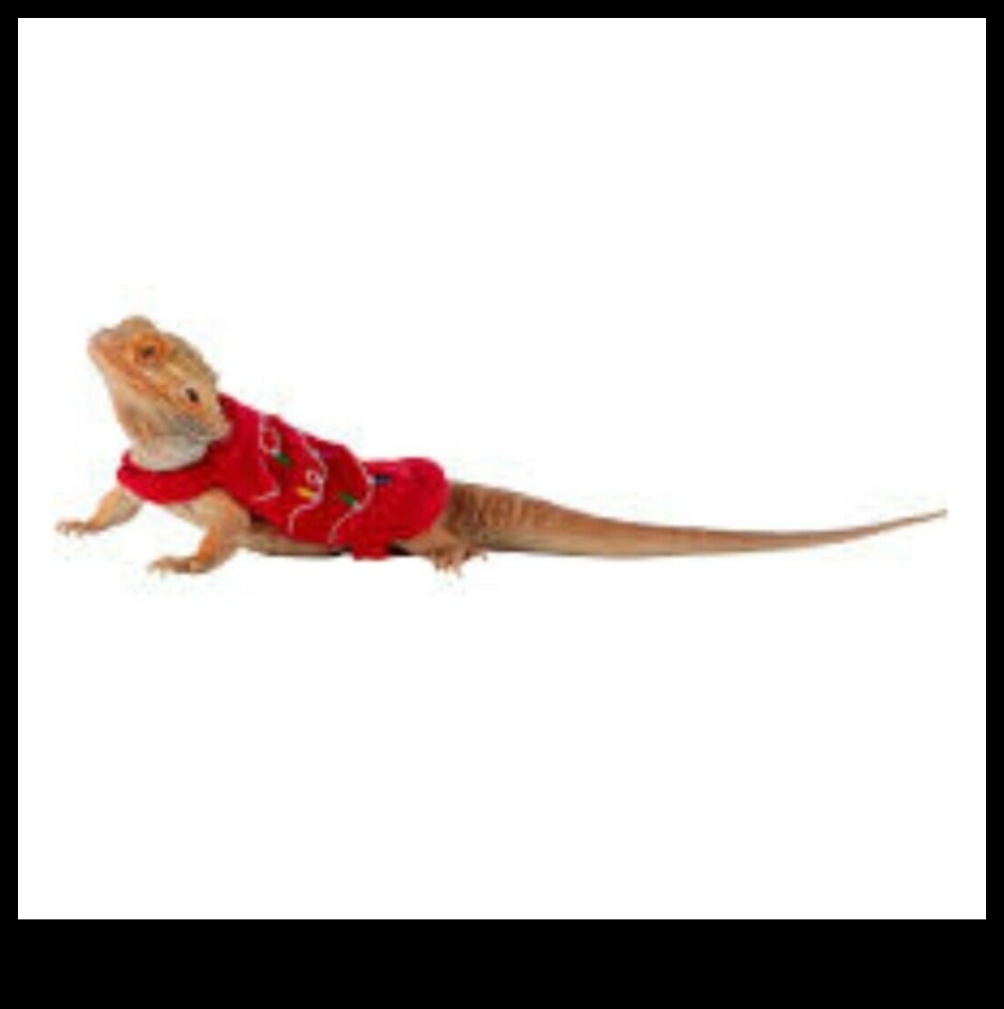 شعارات الزواحف: تلبيس رفيقك الحرشفي