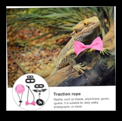 شعارات الزواحف: تلبيس رفيقك الحرشفي