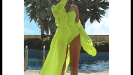 شعارات الزواحف: تلبيس رفيقك الحرشفي