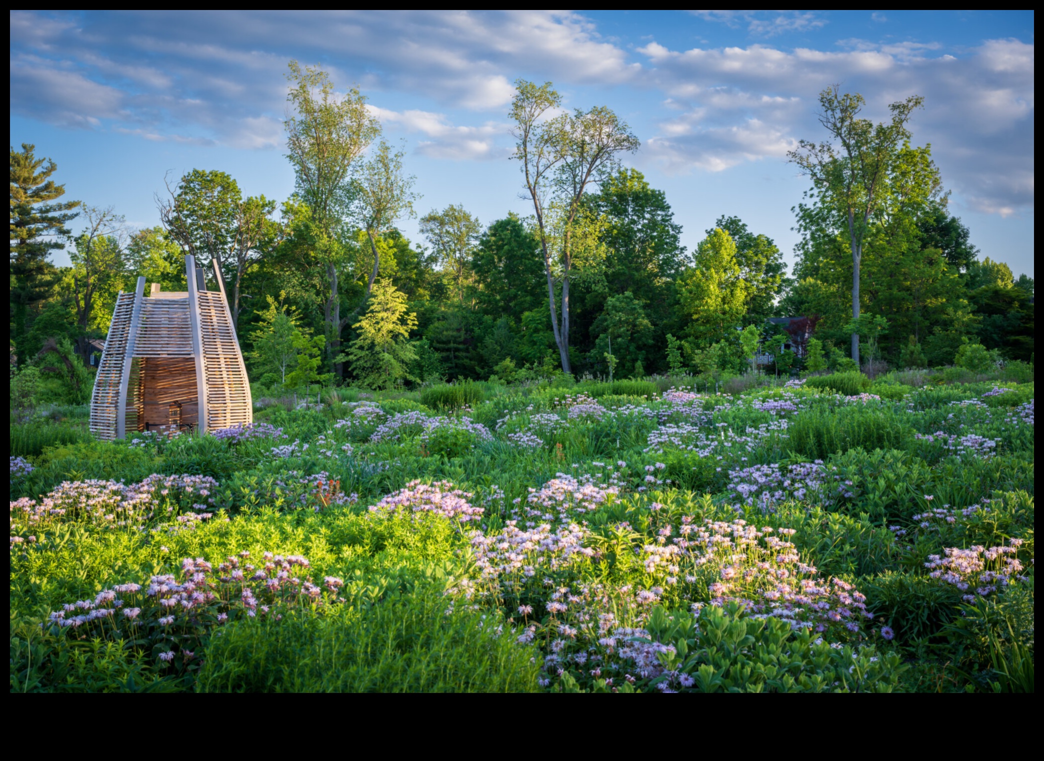 ازدهار الأزهار: العلم وراء العناية الفعالة بالحدائق