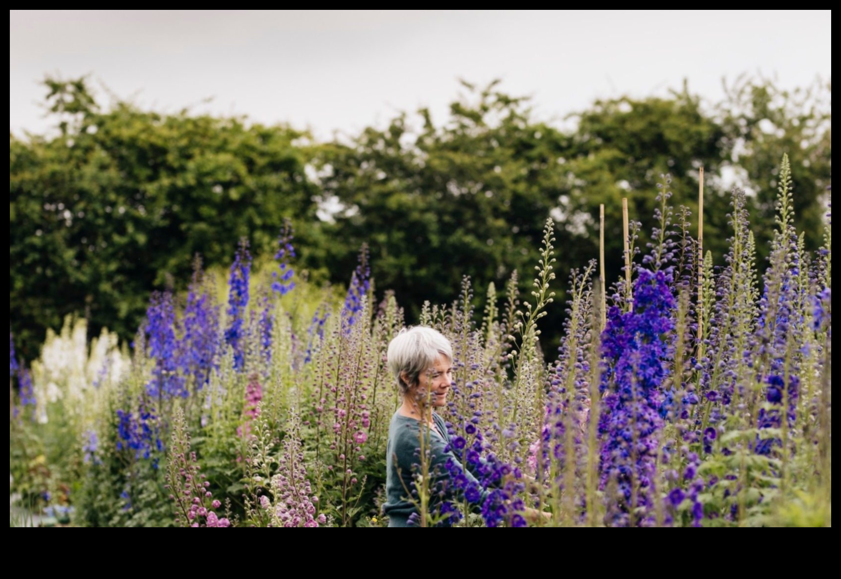 ازدهار الأزهار: العلم وراء العناية الفعالة بالحدائق