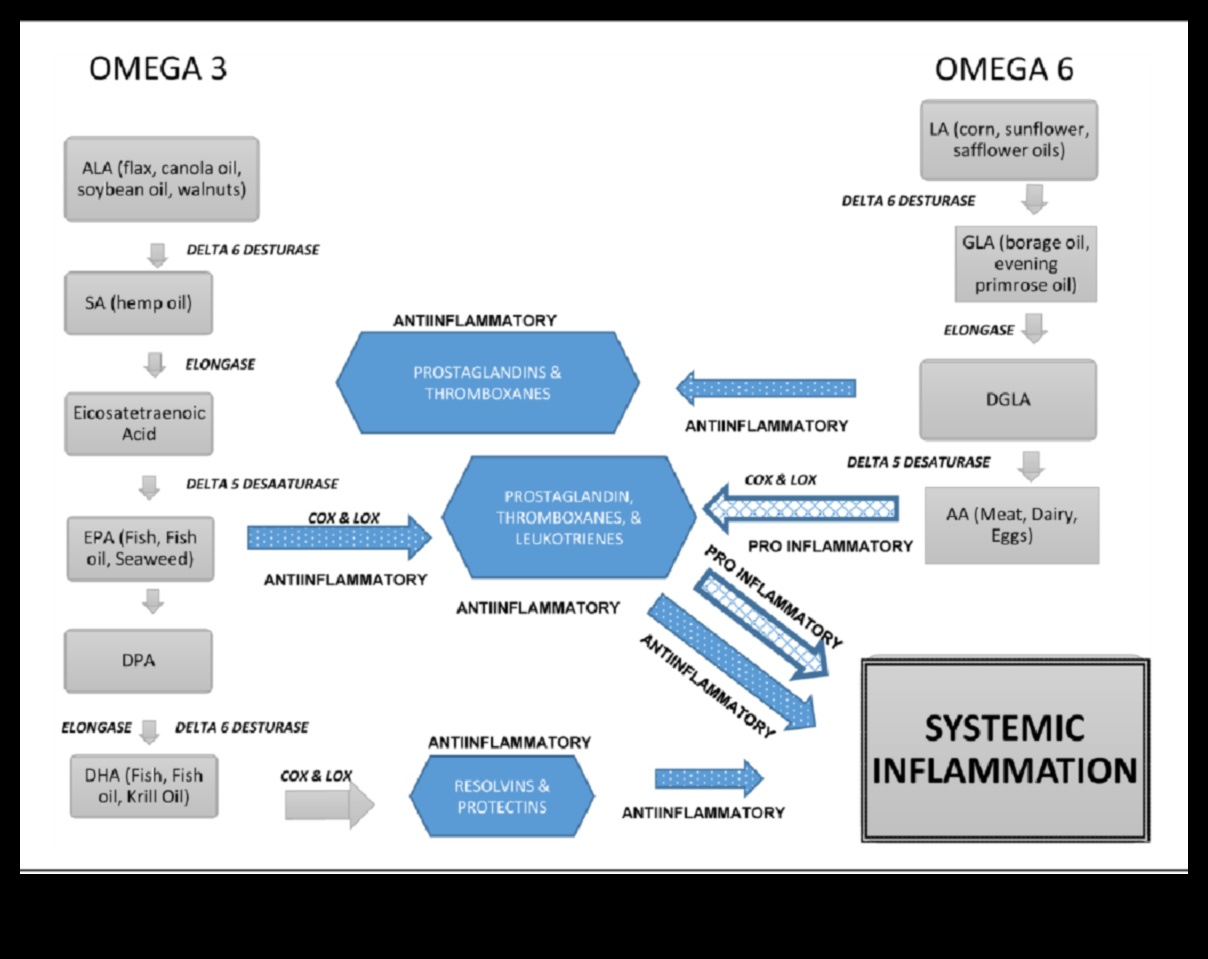 تأثير الأنظمة الغذائية قصيرة المدى على مستويات الالتهاب
