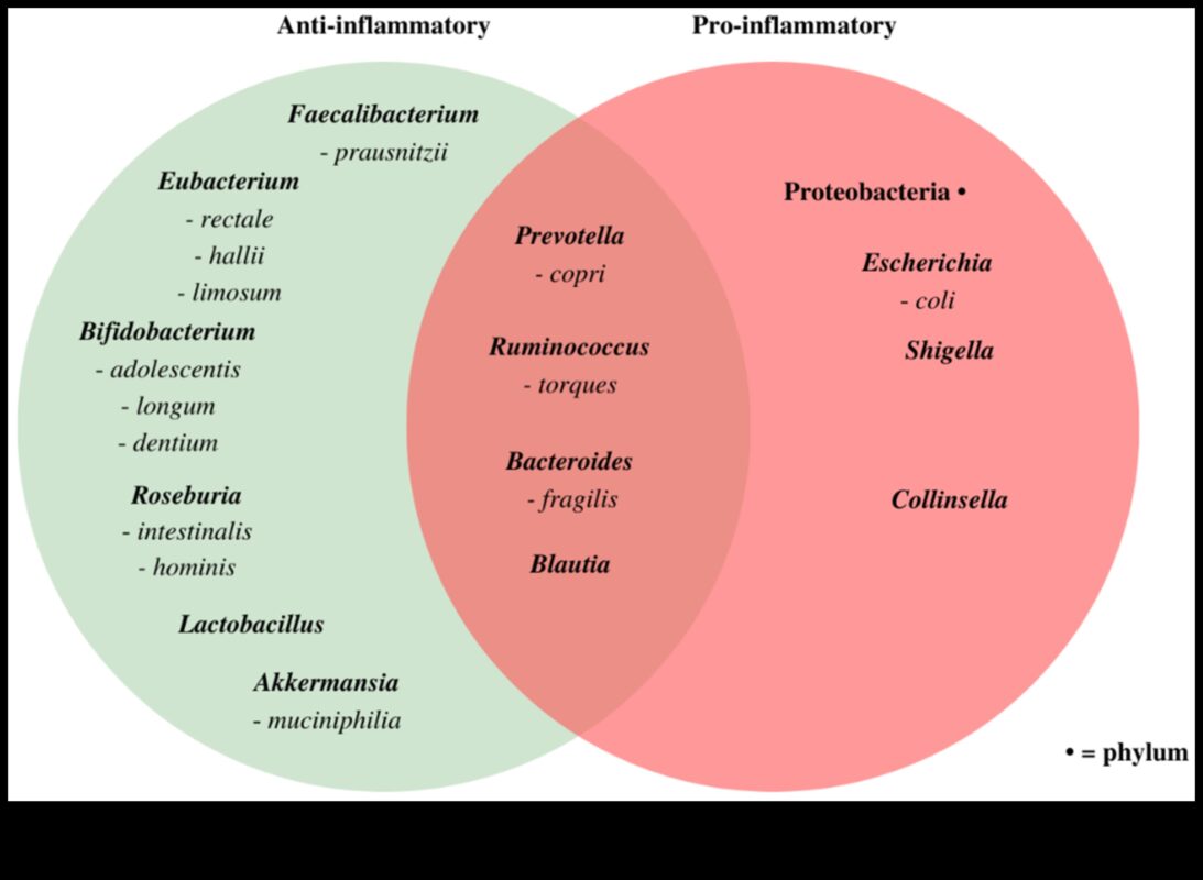 تأثير الأنظمة الغذائية قصيرة المدى على مستويات الالتهاب