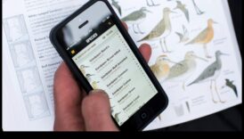 تابع تطبيقات الطيور: تعظيم تجربة مراقبة الطيور الخاصة بك