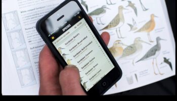 تابع تطبيقات الطيور: تعظيم تجربة مراقبة الطيور الخاصة بك