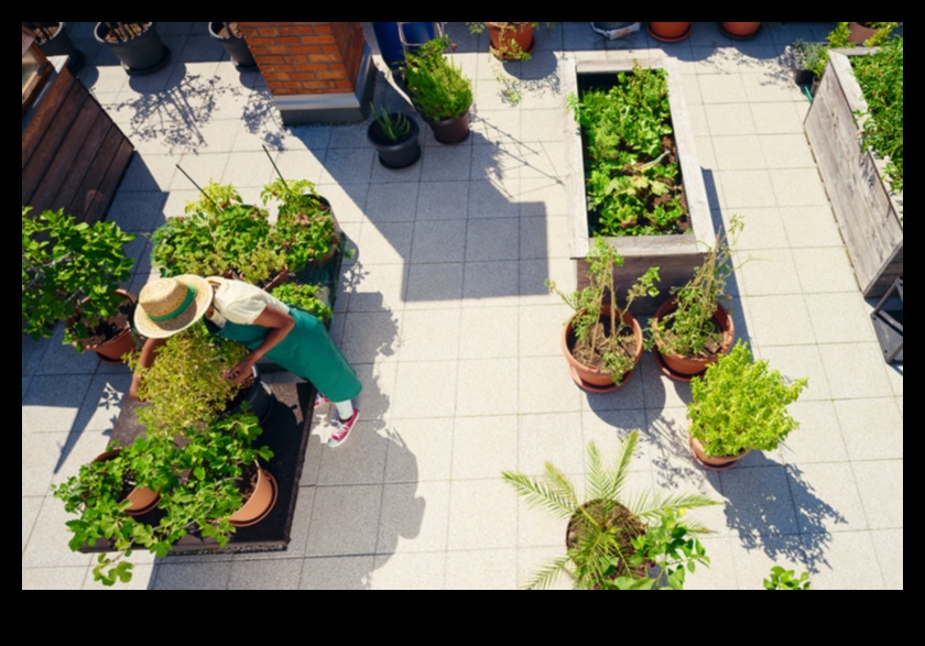 رعاية الطبيعة: دليل المبتدئين لتخطيطات الحدائق