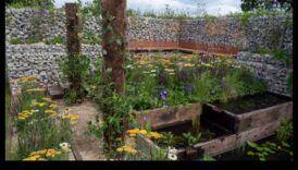 رعاية الطبيعة: دليل المبتدئين لتخطيطات الحدائق