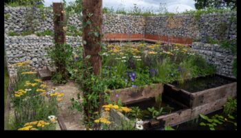 رعاية الطبيعة: دليل المبتدئين لتخطيطات الحدائق