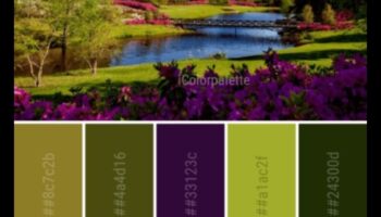 لوحة الطبيعة: إلهام DIY لحديقة ملونة