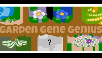 عبقرية الحديقة: تسخير قوة التعليم