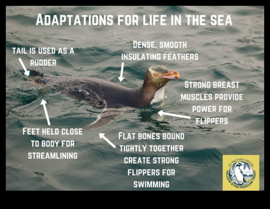 تابع الأصدقاء الريش: الطيور ذات التكيفات الفريدة من أجل البقاء