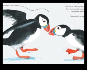 تابع الأصدقاء الريش: الطيور ذات التكيفات الفريدة من أجل البقاء