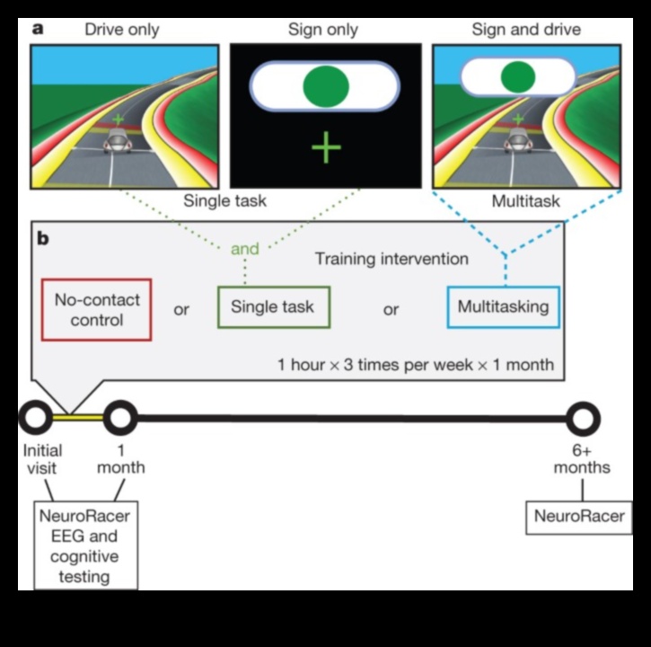 علم الألعاب كيف يمكن للملحقات تحسين الأداء المعرفي أو إعاقته 3 علوم الألعاب: كيف تؤثر الملحقات على الأداء المعرفي