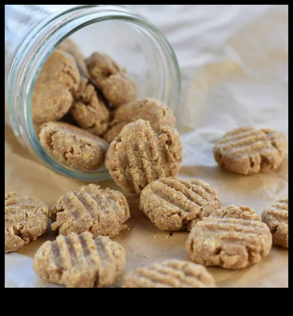 مطبخ كيتي: وصفات علاج القطط محلية الصنع