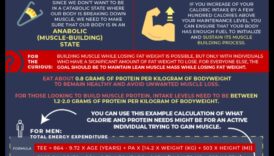 الأنظمة الغذائية الغنية بالبروتين وبناء العضلات: نهج تآزري