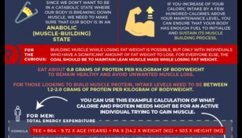 الأنظمة الغذائية الغنية بالبروتين وبناء العضلات: نهج تآزري