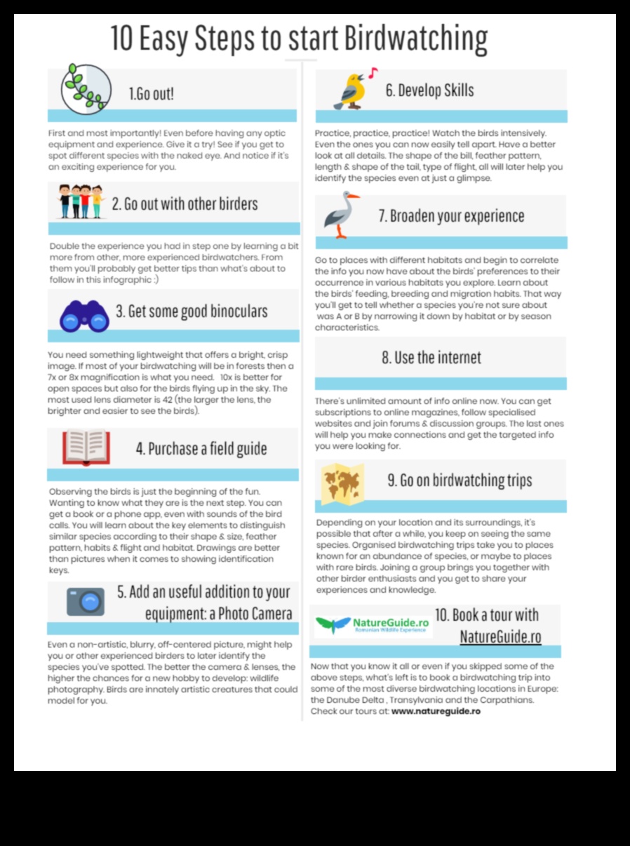 حيل الطيور: نصائح وحيل لتجربة محسنة لمراقبة الطيور