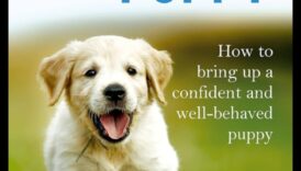 الأبوة والأمومة جرو: تربية رفيق الكلاب حسن التصرف