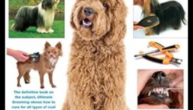 فن الاستمالة: دليل أنيق للعناية بالكلاب