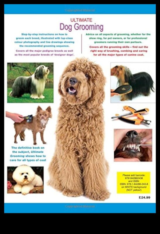 فن الاستمالة: دليل أنيق للعناية بالكلاب