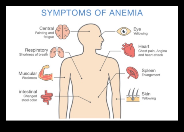 النظام النباتي وامتصاص الحديد: تعزيز التوافر الحيوي للمغذيات