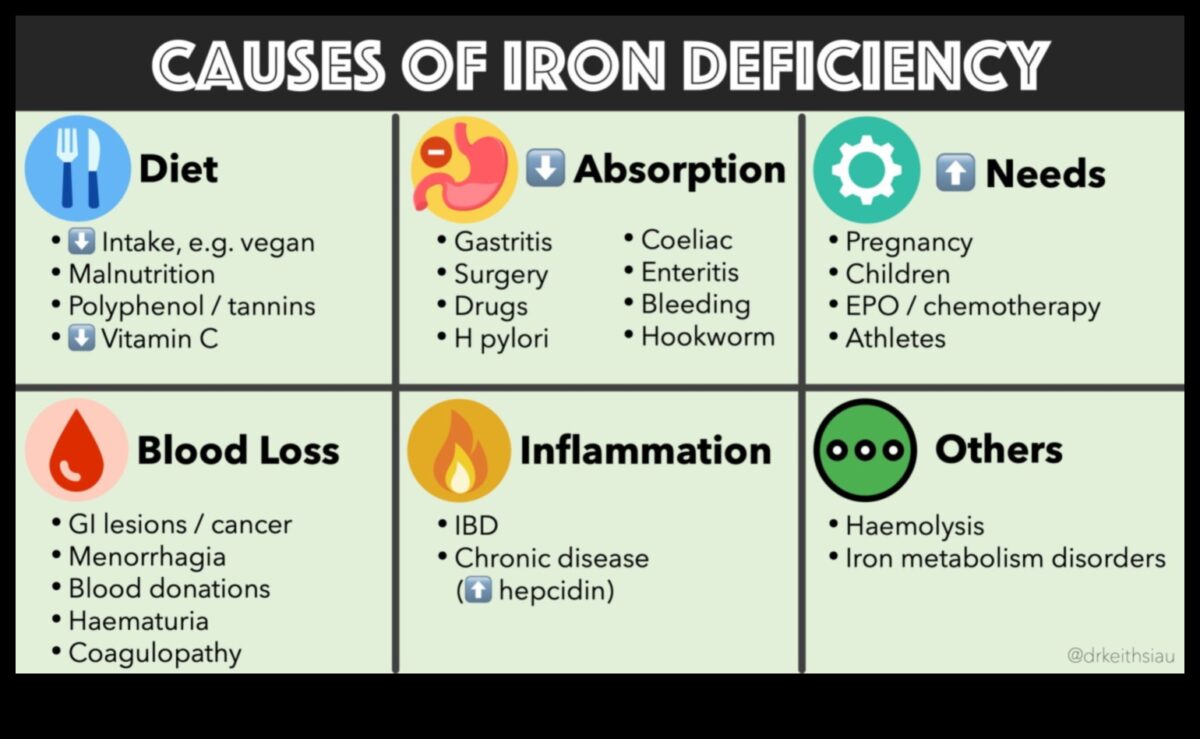 النظام النباتي وامتصاص الحديد: تعزيز التوافر الحيوي للمغذيات