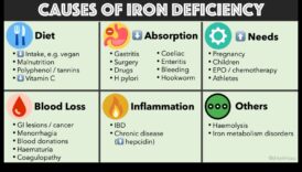 النظام النباتي وامتصاص الحديد: تعزيز التوافر الحيوي للمغذيات