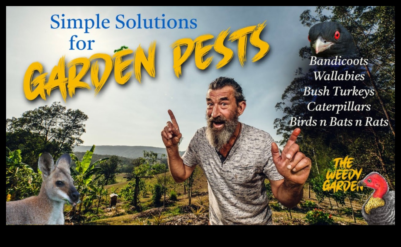 الدفاع عن الحلم: استراتيجيات إدارة آفات الحديقة