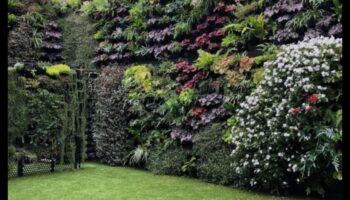 تزهر السماء العالية: فن آسر الحدائق العمودية