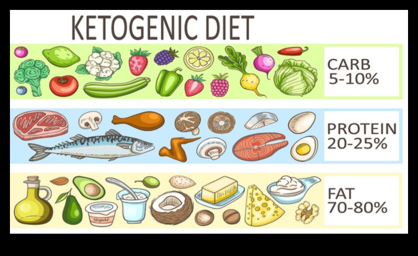 النظام الغذائي الكيتوني ما هو العلم وراء فوائده الصحية للقلب 3 النظام الغذائي الكيتوني وصحة القلب: نظرة فاحصة
