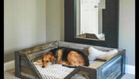 أسرة هزلية DIY: إنشاء ملاذات مريحة لجروك