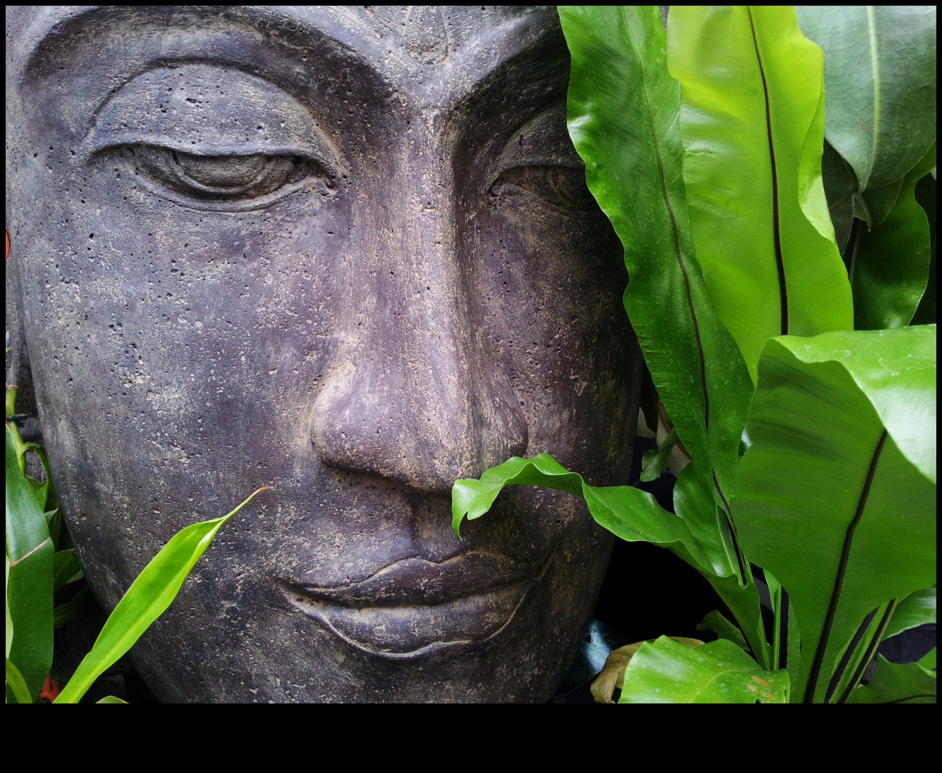 ملاذات الصفاء المنحوتة التي يمكنك صنعها بنفسك للحدائق التي ستجعلك تشعر بالسلام 2 الصفاء المنحوت: الخلوات الهادئة التي تصنعها بنفسك للحدائق