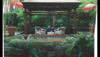 الصفاء المنحوت: الخلوات الهادئة التي تصنعها بنفسك للحدائق