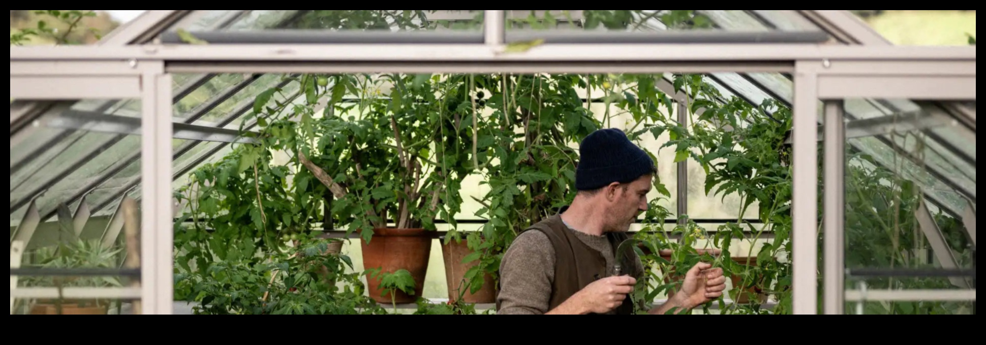 ازرع، ازهر، ازدهر: ميزة الدفيئة