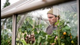 ازرع، أزهر، ازدهر كيف سوف للدفيئات الزراعية أن تساعدك في تنمية أعمالك 5 ازرع، ازهر، ازدهر: ميزة الدفيئة