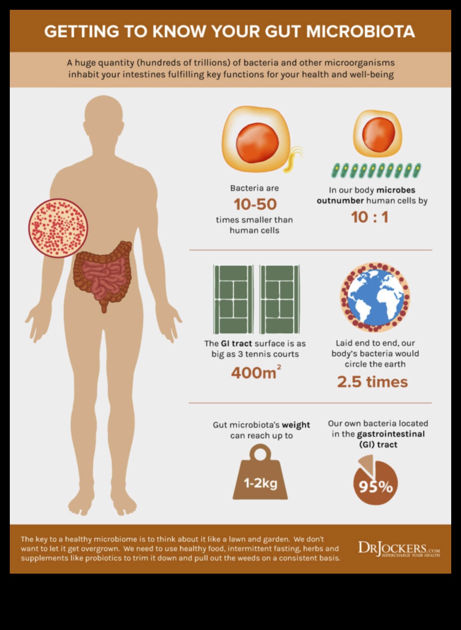 كيتو وميكروبيوم الأمعاء: تفاعل ديناميكي