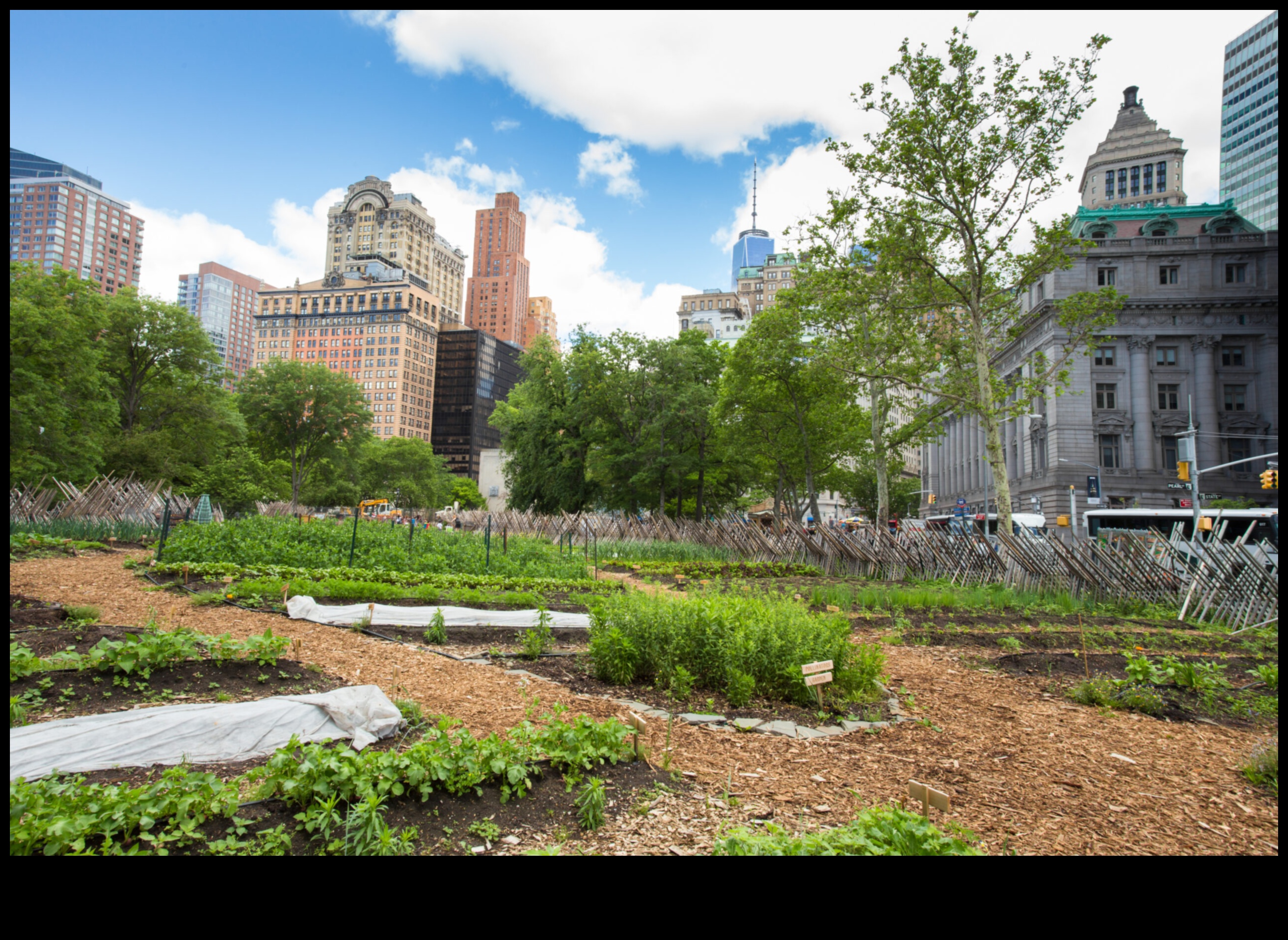 البستنة الشاهقة: البستنة الحضرية المسرات فوق المدينة