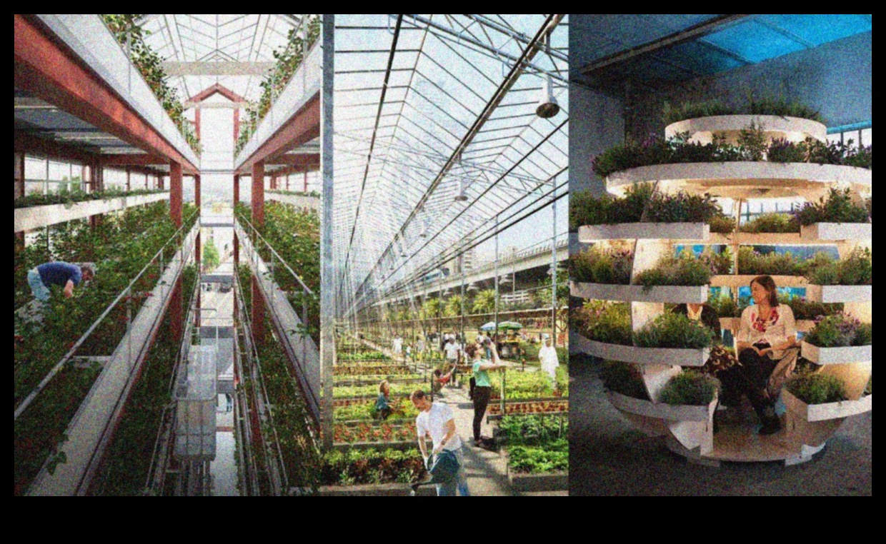 البستنة الشاهقة: البستنة الحضرية المسرات فوق المدينة