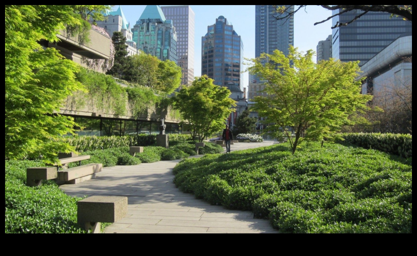 البستنة الشاهقة: البستنة الحضرية المسرات فوق المدينة