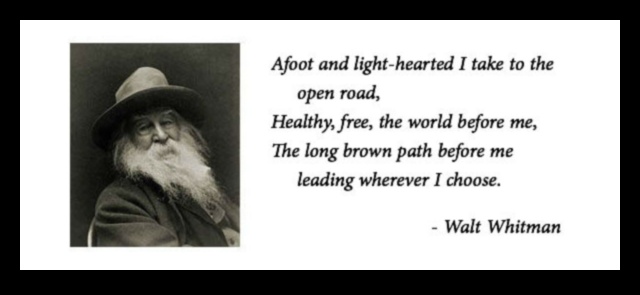 سيارات الطرق الهادرة: السيارات الرياضية وجاذبية الرحلات البحرية في الهواء الطلق