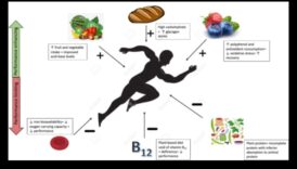 النظام النباتي والأداء الرياضي: قصص الرياضيين الذين يستخدمون النباتات