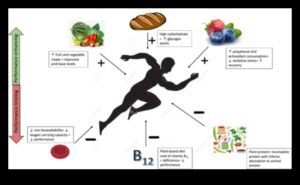 النظام النباتي والأداء الرياضي: قصص الرياضيين الذين يستخدمون النباتات