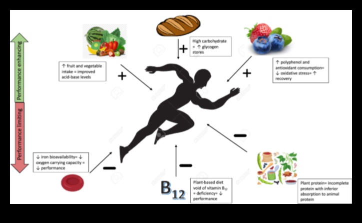 النظام النباتي والأداء الرياضي: قصص الرياضيين الذين يستخدمون النباتات