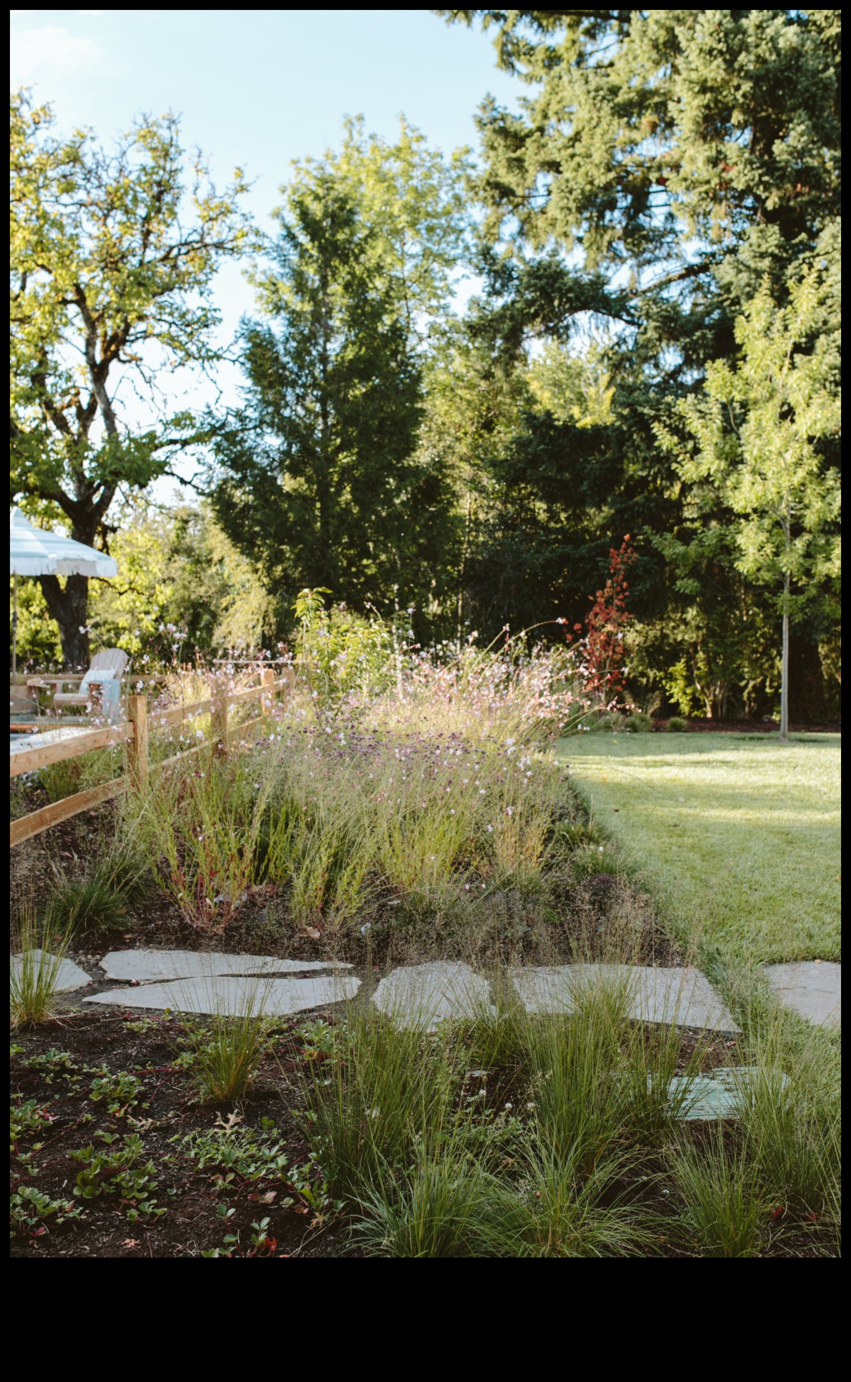 لوحة الطبيعة: نصائح لحديقة نابضة بالحياة وصحية