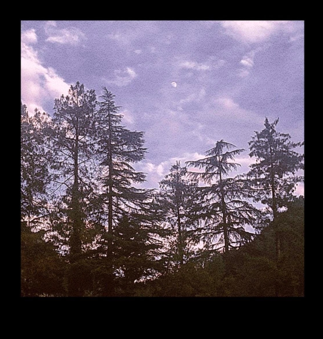 التجوال الرابسودي: سيمفونية الاستكشاف للمسافر