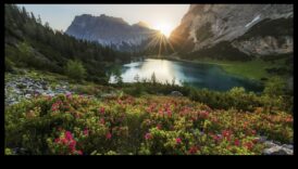 غناء الطبيعة: غرس الفن في واحتك الخارجية