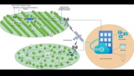 تساعد الهجينة المتجولة على المساحات الريفية المزارعين في تمديد الإنتاجية وخفض الأسعار 5 التجوال الريفي: الهجينة كأدوات أساسية في الزراعة والزراعة