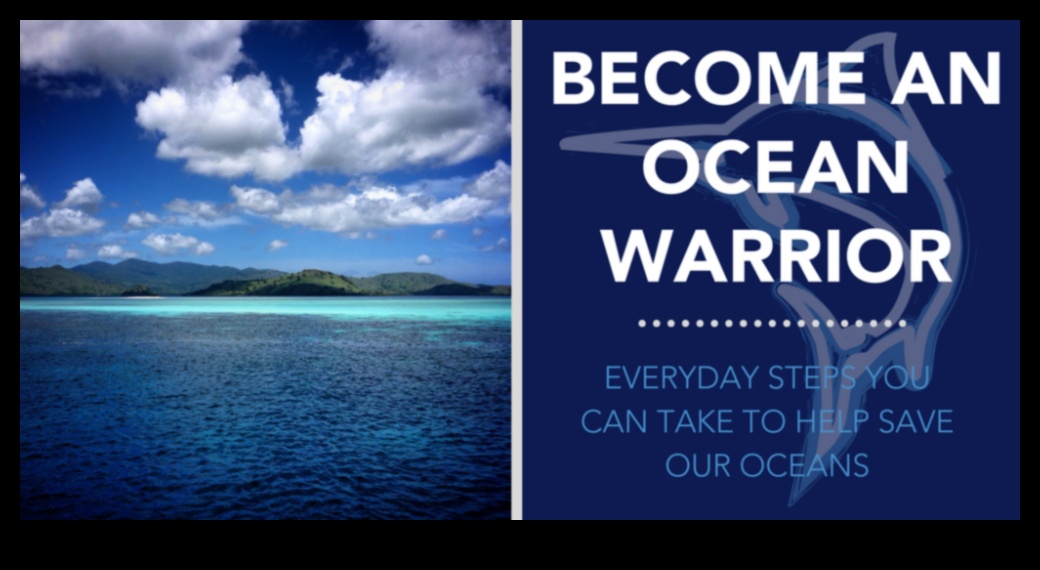 محاربو الحفاظ على المحيطات: أفراد يصنعون فرقًا من أجل الأسماك