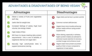 صياغة أنظمة غذائية طويلة الأمد للنباتيين: خيارات مدعومة بالنباتات